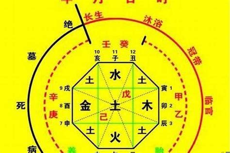 八字命盤姻緣免費|生辰八字算命、五行喜用神查詢（免費測算）